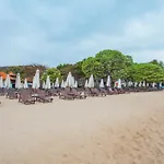 Tree House Villa